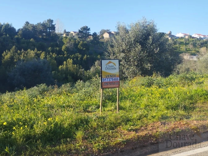 Terreno para Venda em Santo Antonio dos Olivais Foto 2