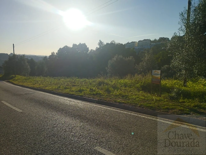 Terreno para Venda em Santo Antonio dos Olivais Foto 9