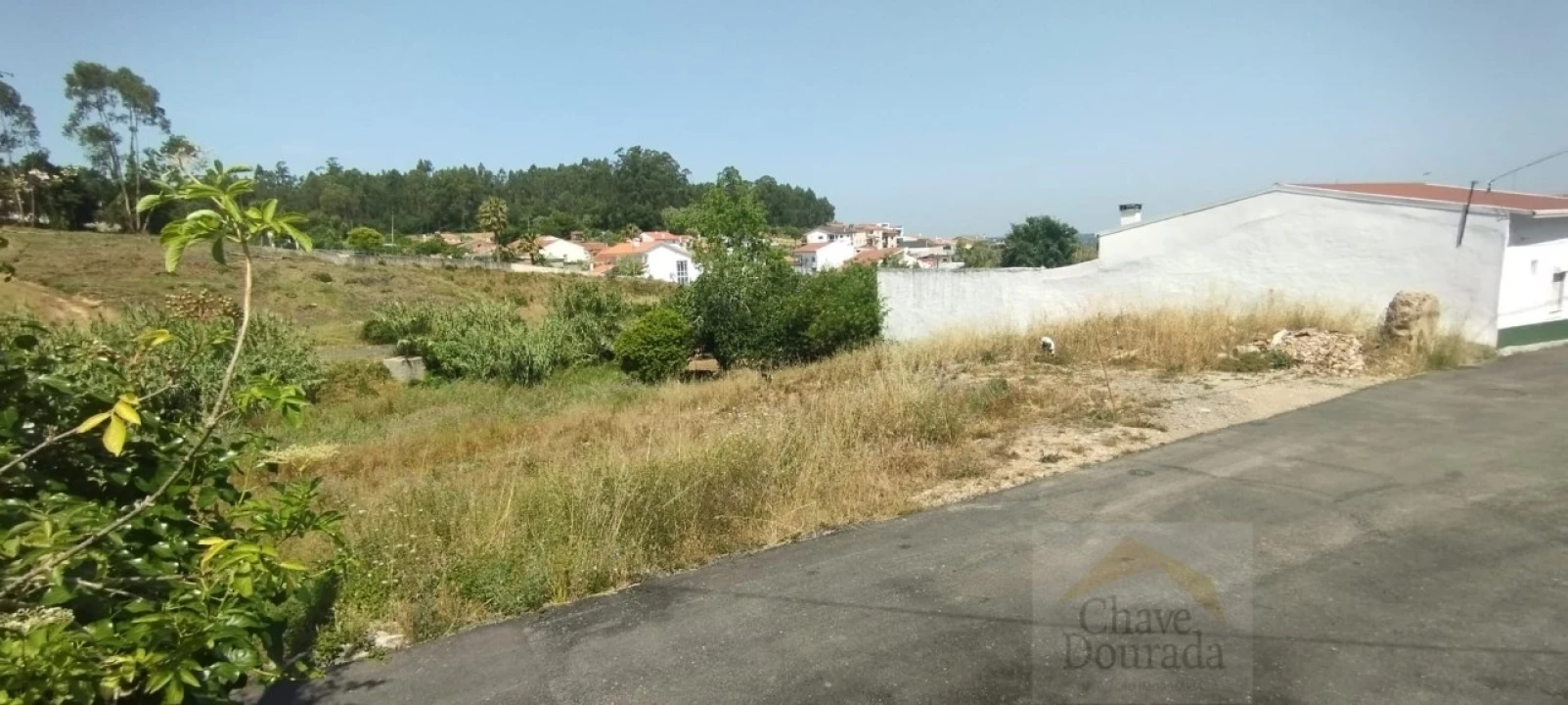 Terreno para Venda em São Martinho do Bispo e Ribeira de Frades Foto 5
