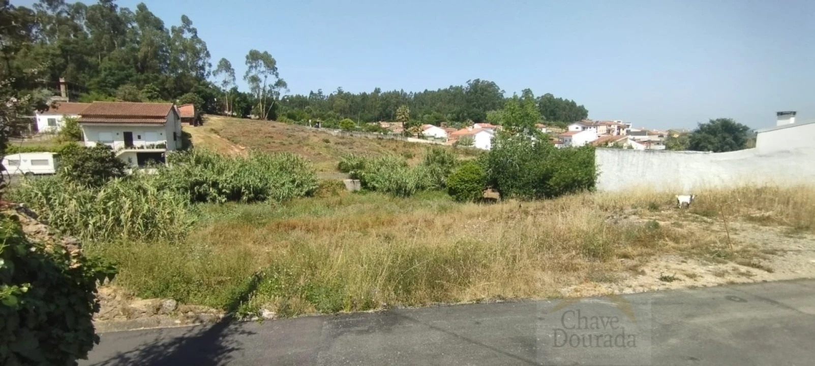 Terreno para Venda em São Martinho do Bispo e Ribeira de Frades Foto 3