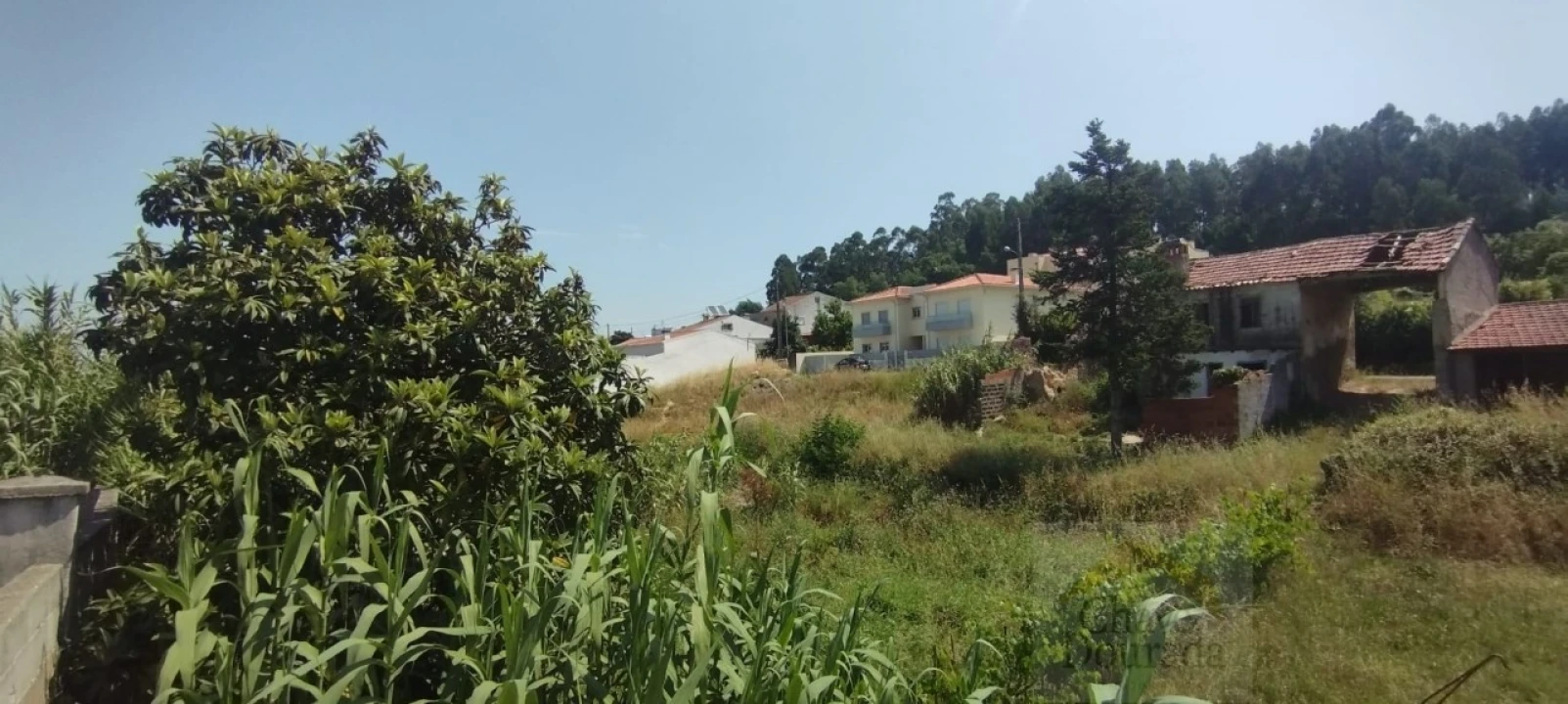 Terreno para Venda em São Martinho do Bispo e Ribeira de Frades Foto 2
