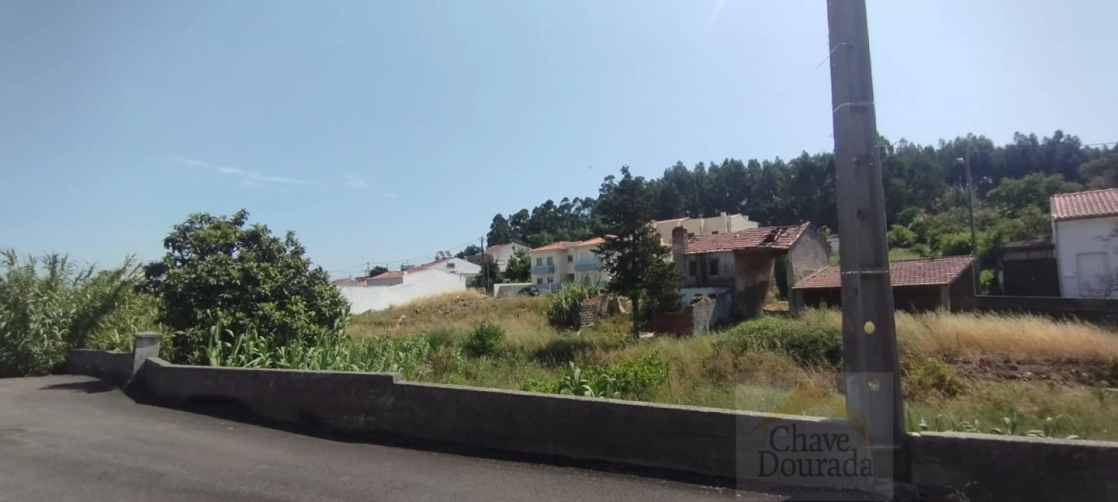 Terreno para Venda em São Martinho do Bispo e Ribeira de Frades Foto 6