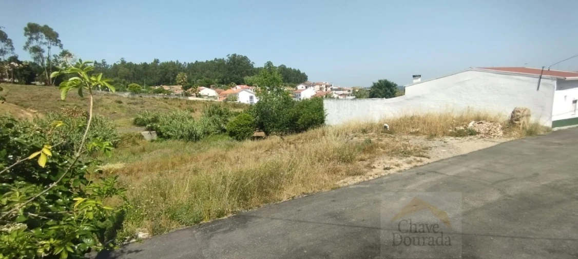 Terreno para Venda em São Martinho do Bispo e Ribeira de Frades Foto 5