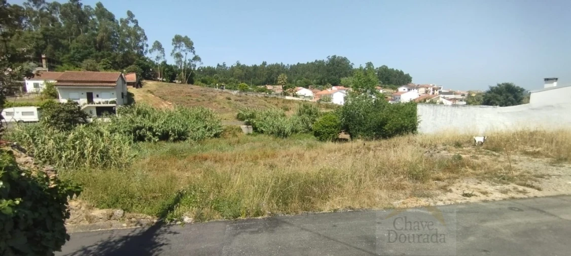 Terreno para Venda em São Martinho do Bispo e Ribeira de Frades Foto 3