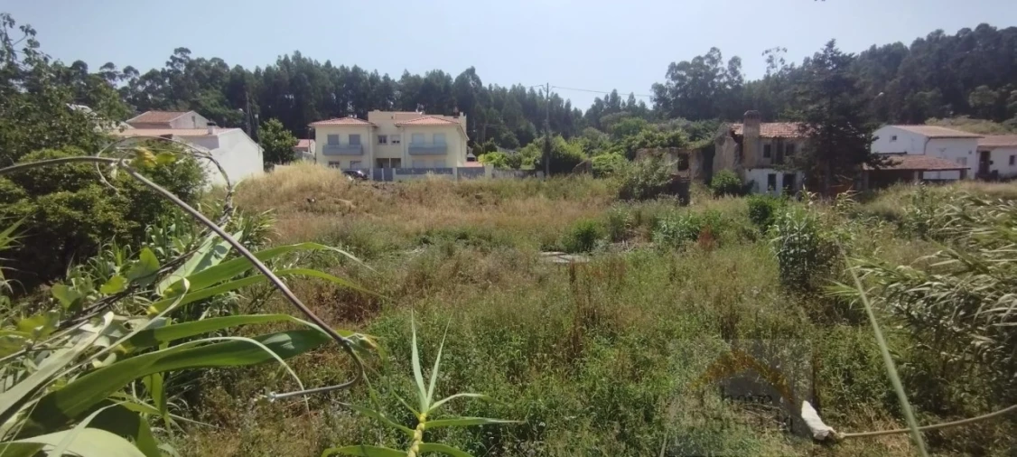 Terreno para Venda em São Martinho do Bispo e Ribeira de Frades Foto 4