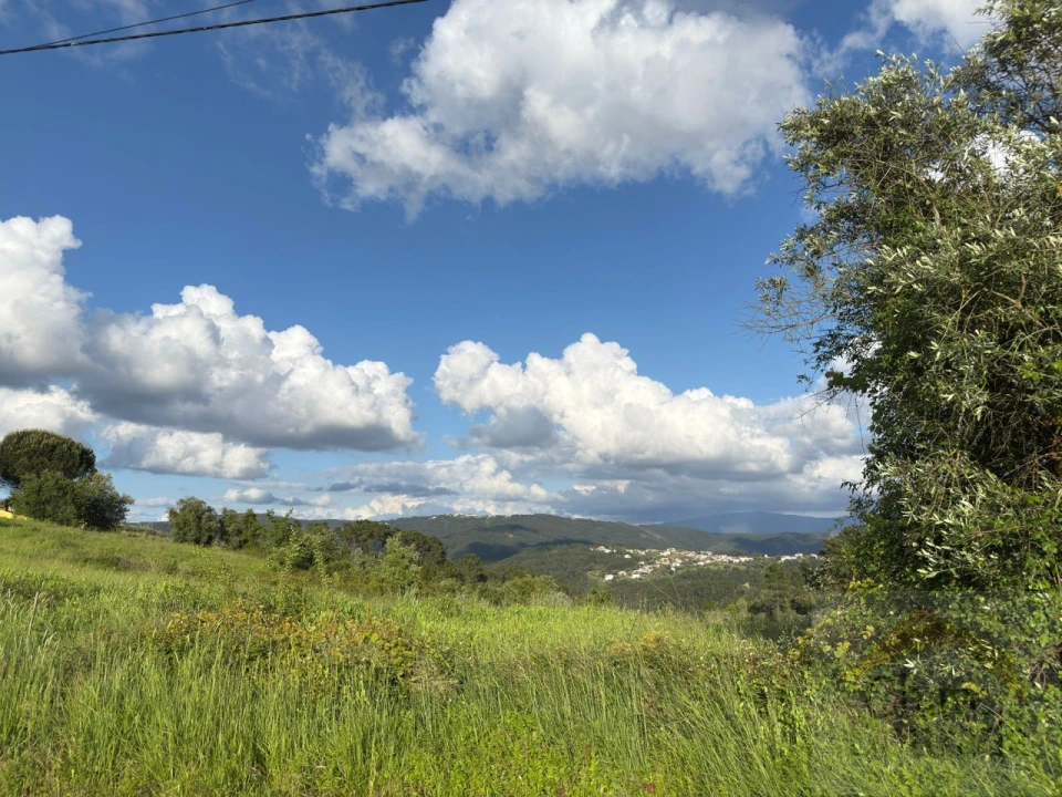 Terreno para Venda em Santa Clara e Castelo Viegas Foto 9