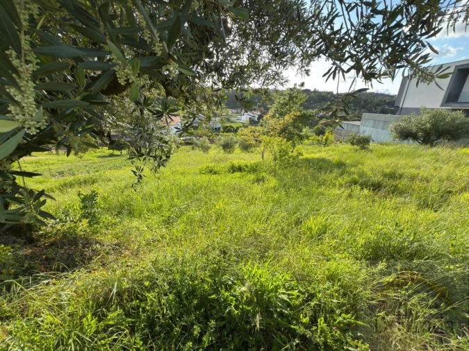 Terreno para Venda em Santa Clara e Castelo Viegas Foto 3