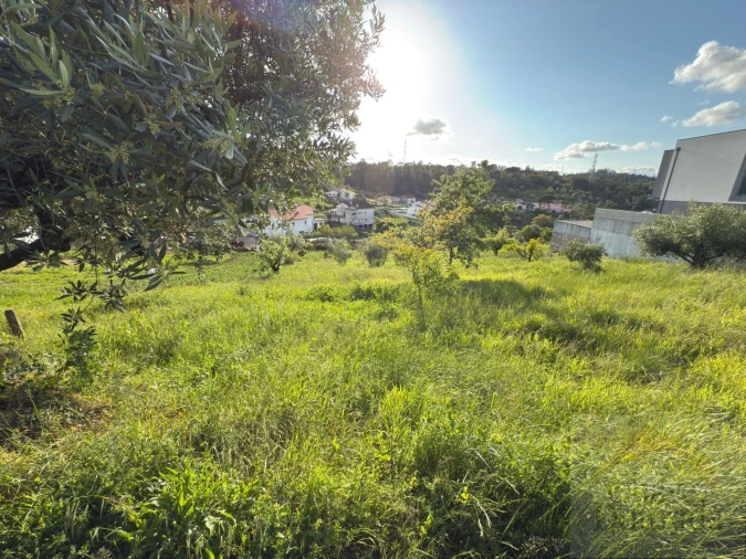 Terreno para Venda em Santa Clara e Castelo Viegas Foto 4