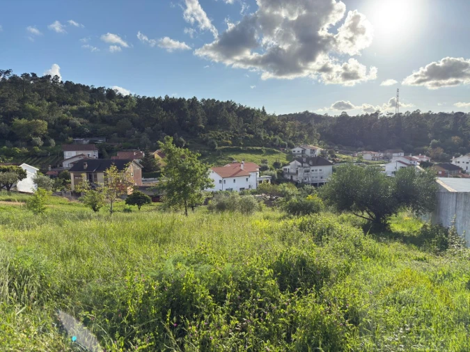 Terreno para Venda em Santa Clara e Castelo Viegas Foto 6