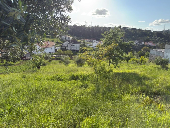Terreno para Venda em Santa Clara e Castelo Viegas Foto 7