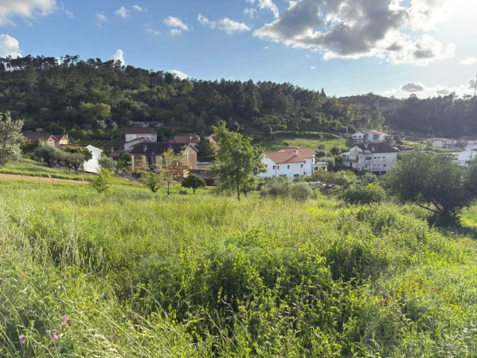 Terreno para Venda em Santa Clara e Castelo Viegas Foto 8