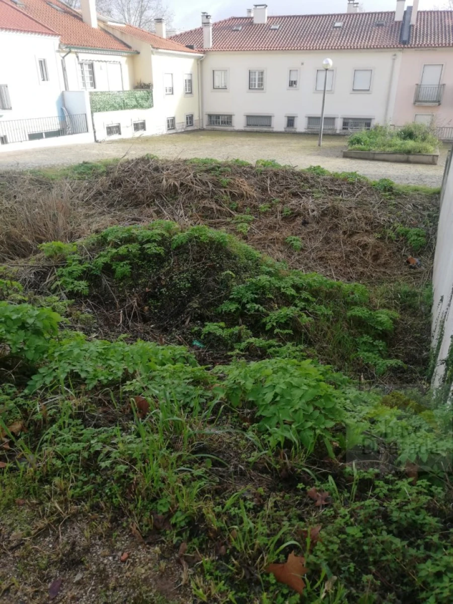 Terreno para Venda em Santa Clara e Castelo Viegas Foto 1