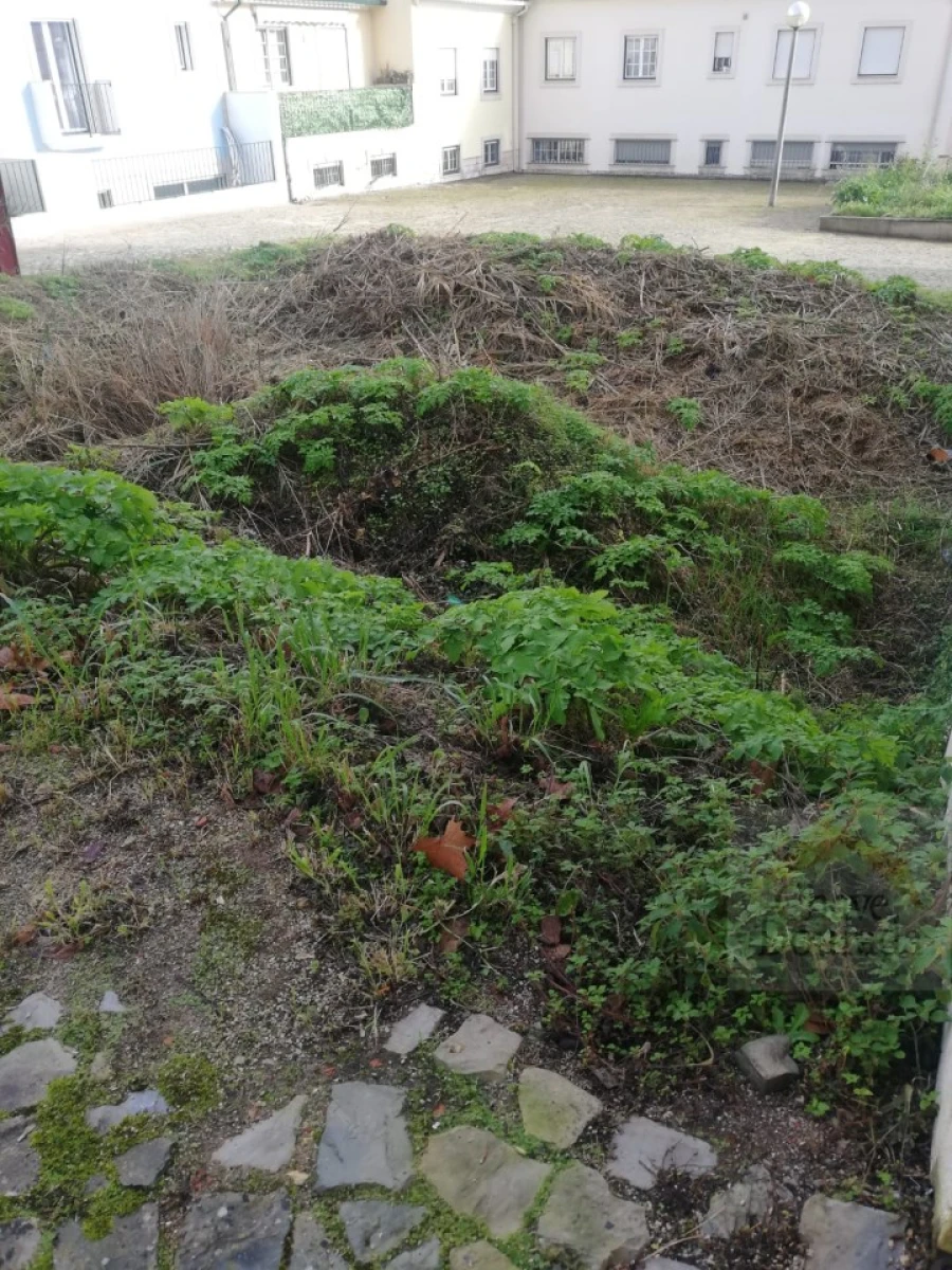 Terreno para Venda em Santa Clara e Castelo Viegas Foto 2