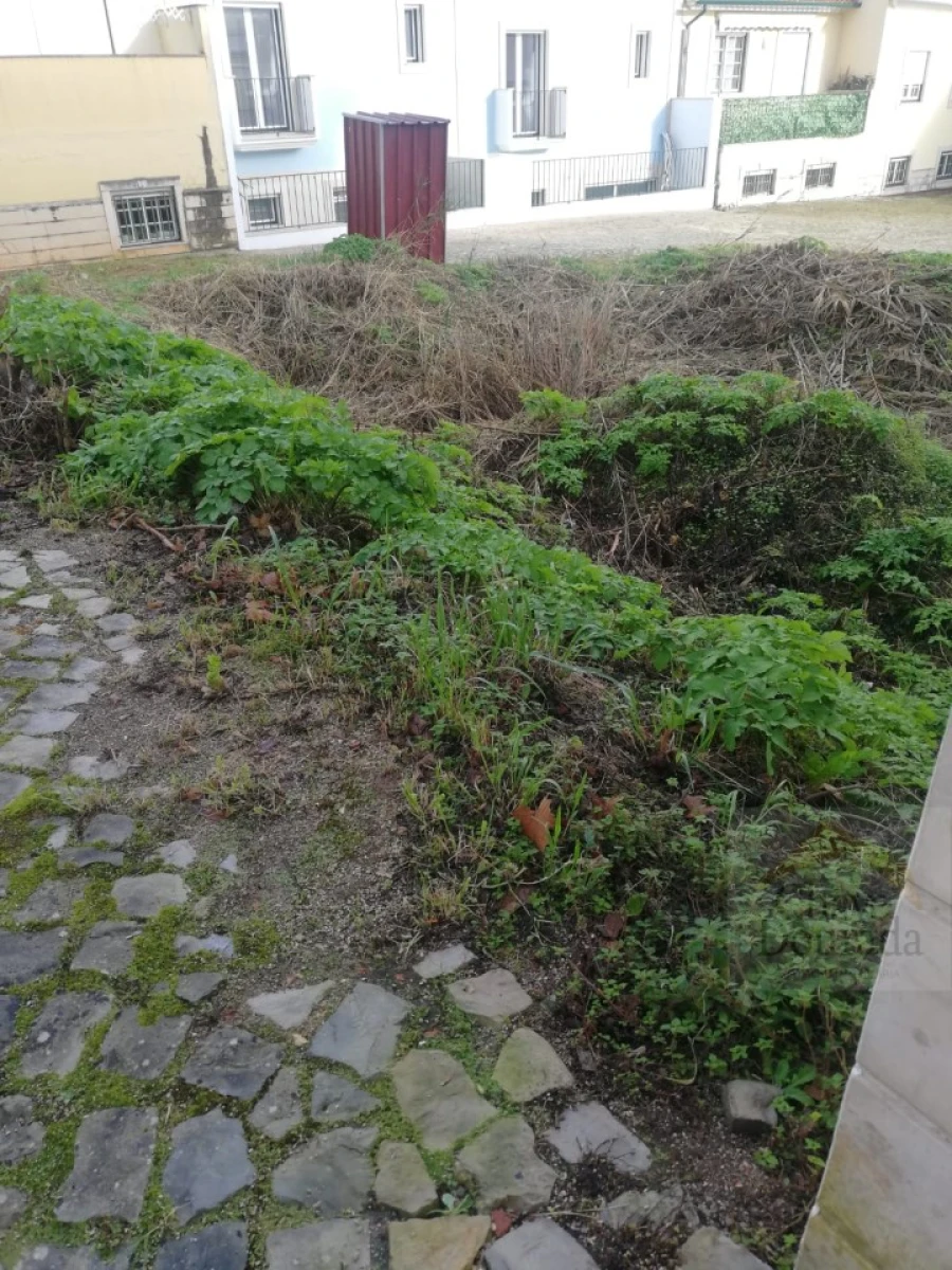 Terreno para Venda em Santa Clara e Castelo Viegas Foto 3