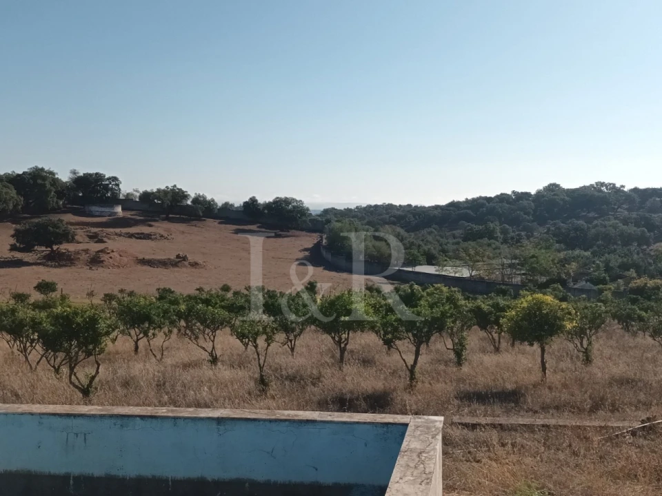 Terreno para Venda em Nossa Senhora da Conceição e São Bartolomeu Foto 4