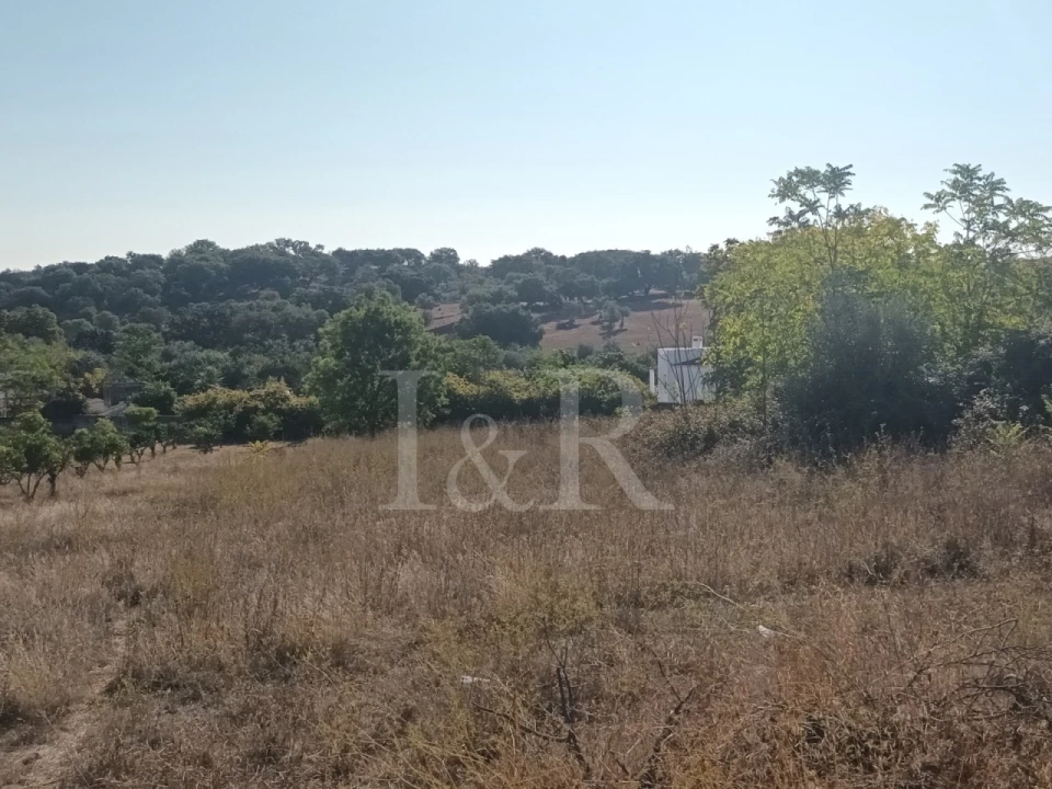 Terreno para Venda em Nossa Senhora da Conceição e São Bartolomeu Foto 10