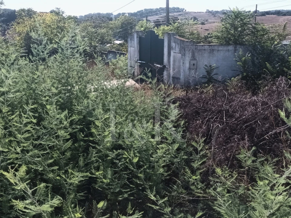 Terreno para Venda em Nossa Senhora da Conceição e São Bartolomeu Foto 19
