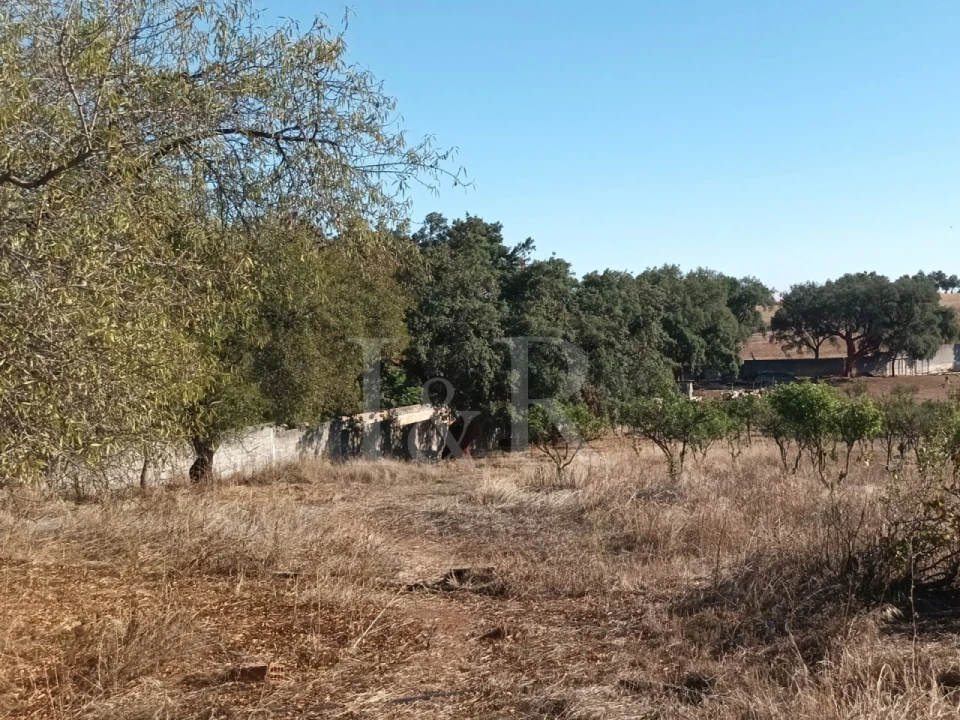 Terreno para Venda em Nossa Senhora da Conceição e São Bartolomeu Foto 20