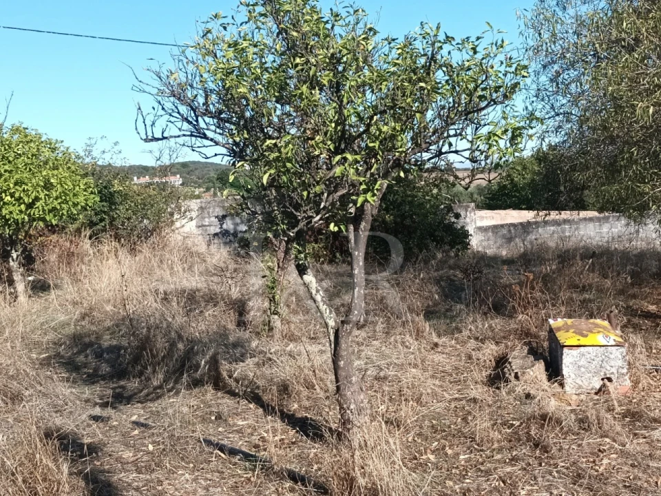 Terreno para Venda em Nossa Senhora da Conceição e São Bartolomeu Foto 23