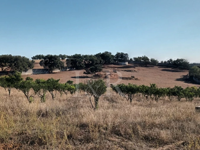 Terreno para Venda em Nossa Senhora da Conceição e São Bartolomeu Foto 11