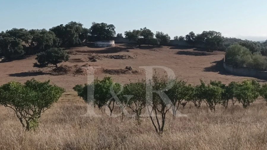 Terreno para Venda em Nossa Senhora da Conceição e São Bartolomeu