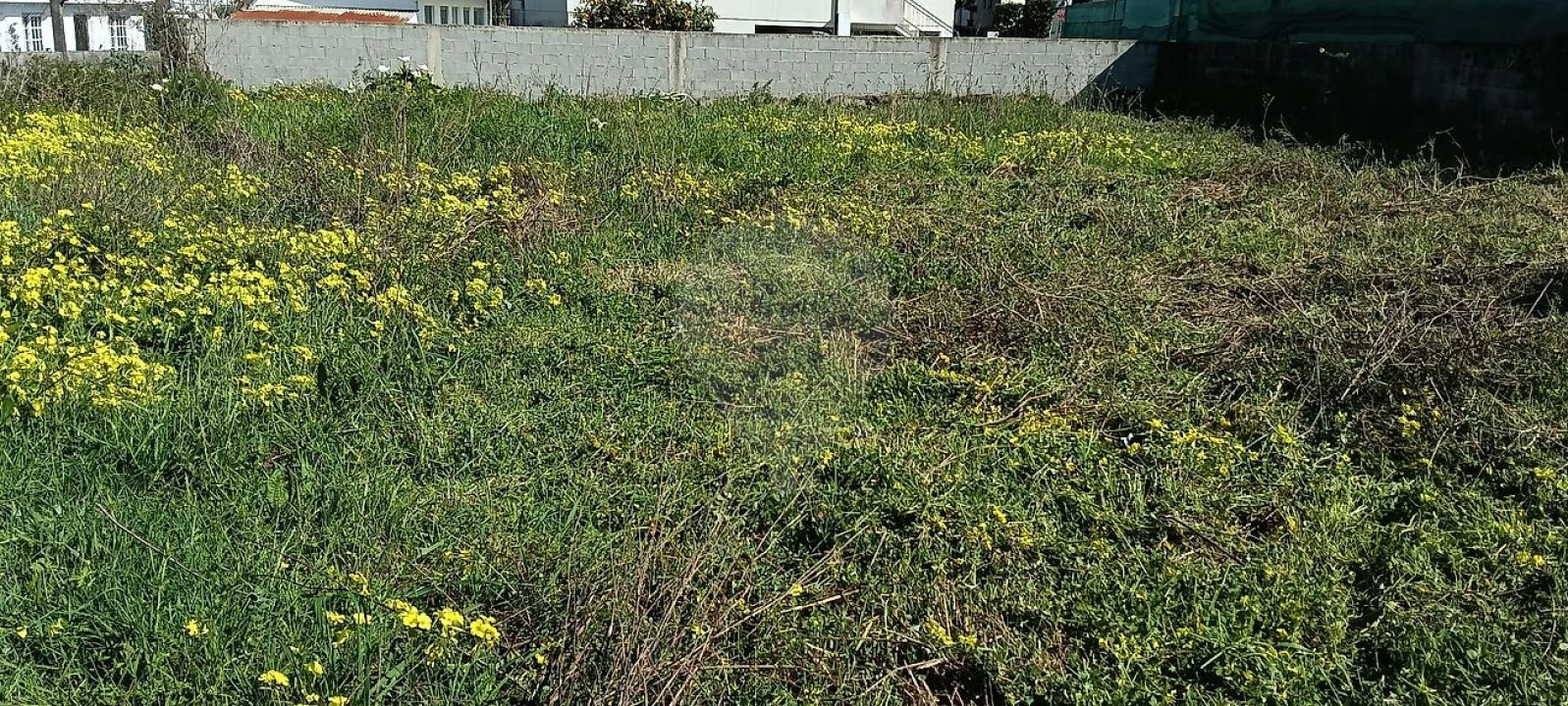 Terreno para Venda em Paços de Brandão Foto 7