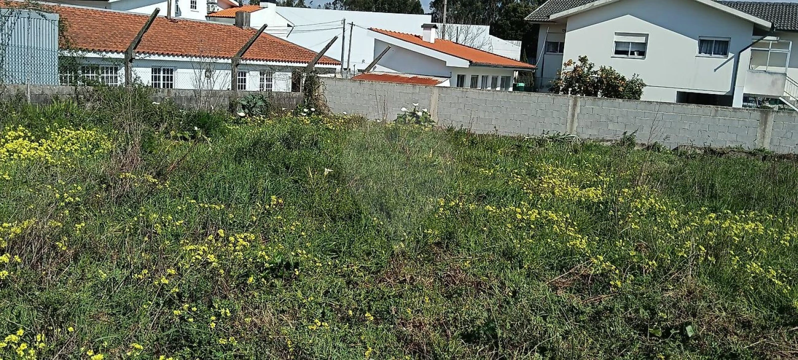Terreno para Venda em Paços de Brandão Foto 5