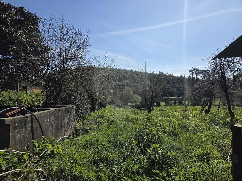 Moradia T4 para Venda em Canelas e Fermelã Foto 5