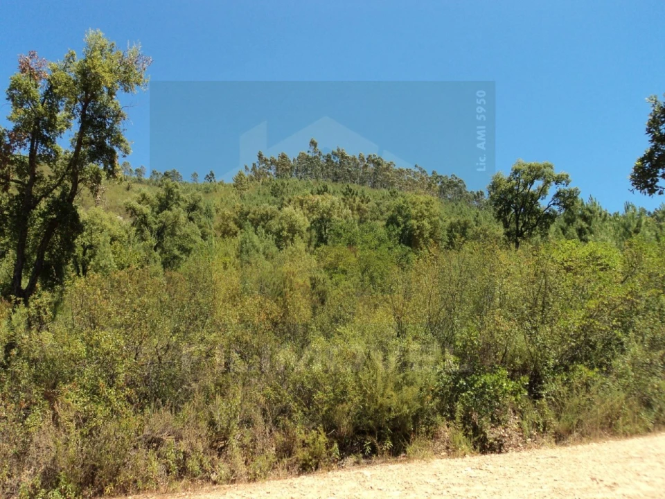 Terreno para Venda em Vila de Rei Foto 4