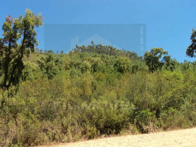Terreno para Venda em Vila de Rei Foto 4