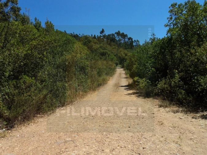 Terreno para Venda em Vila de Rei Foto 6