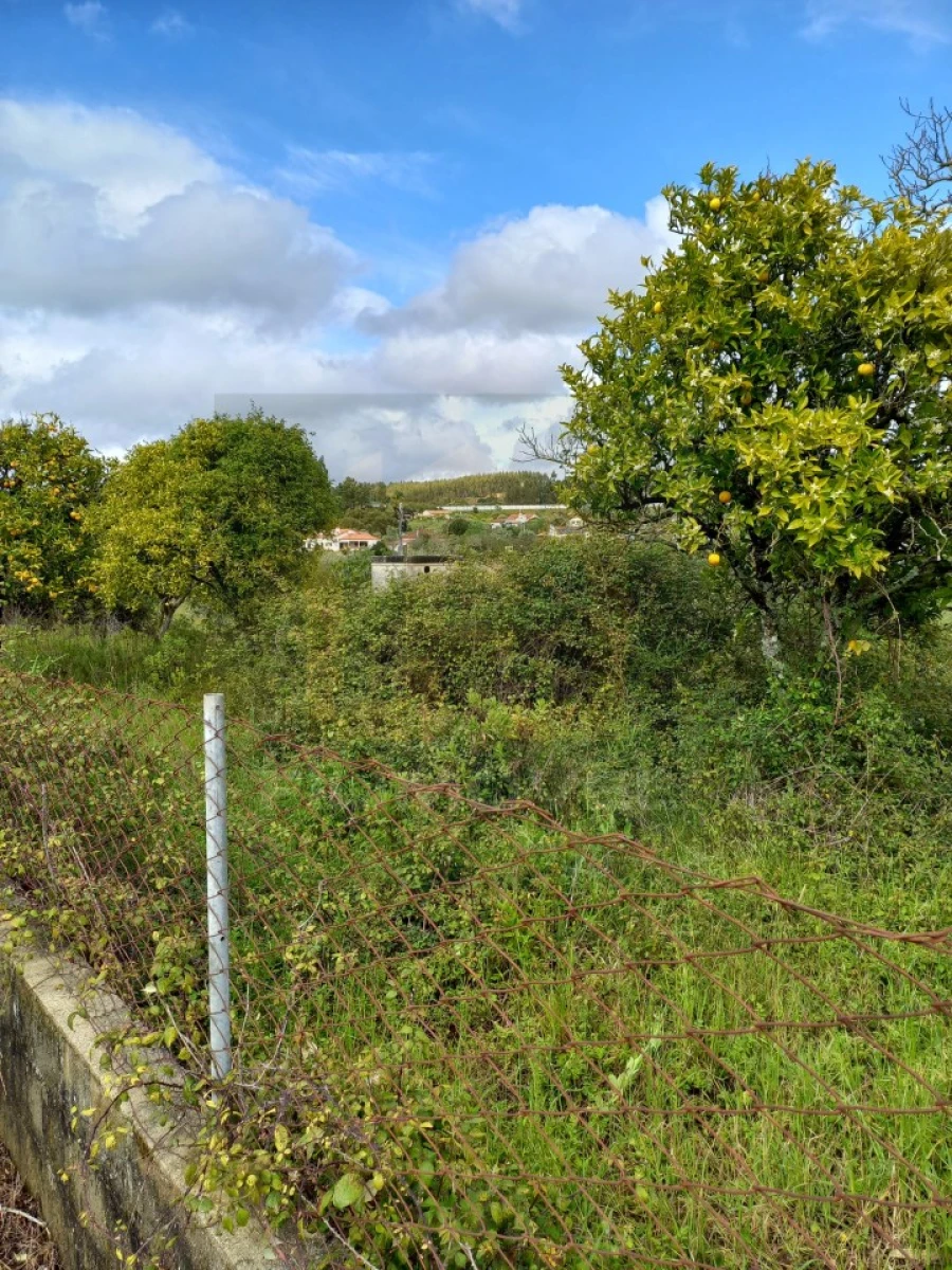 Terreno para Venda em Casais e Alviobeira Foto 2