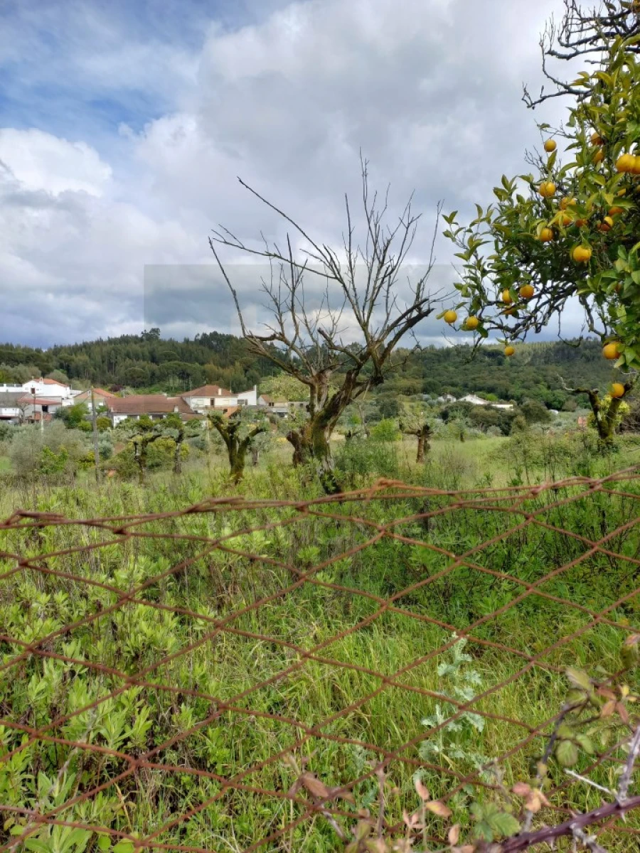 Terreno para Venda em Casais e Alviobeira Foto 4