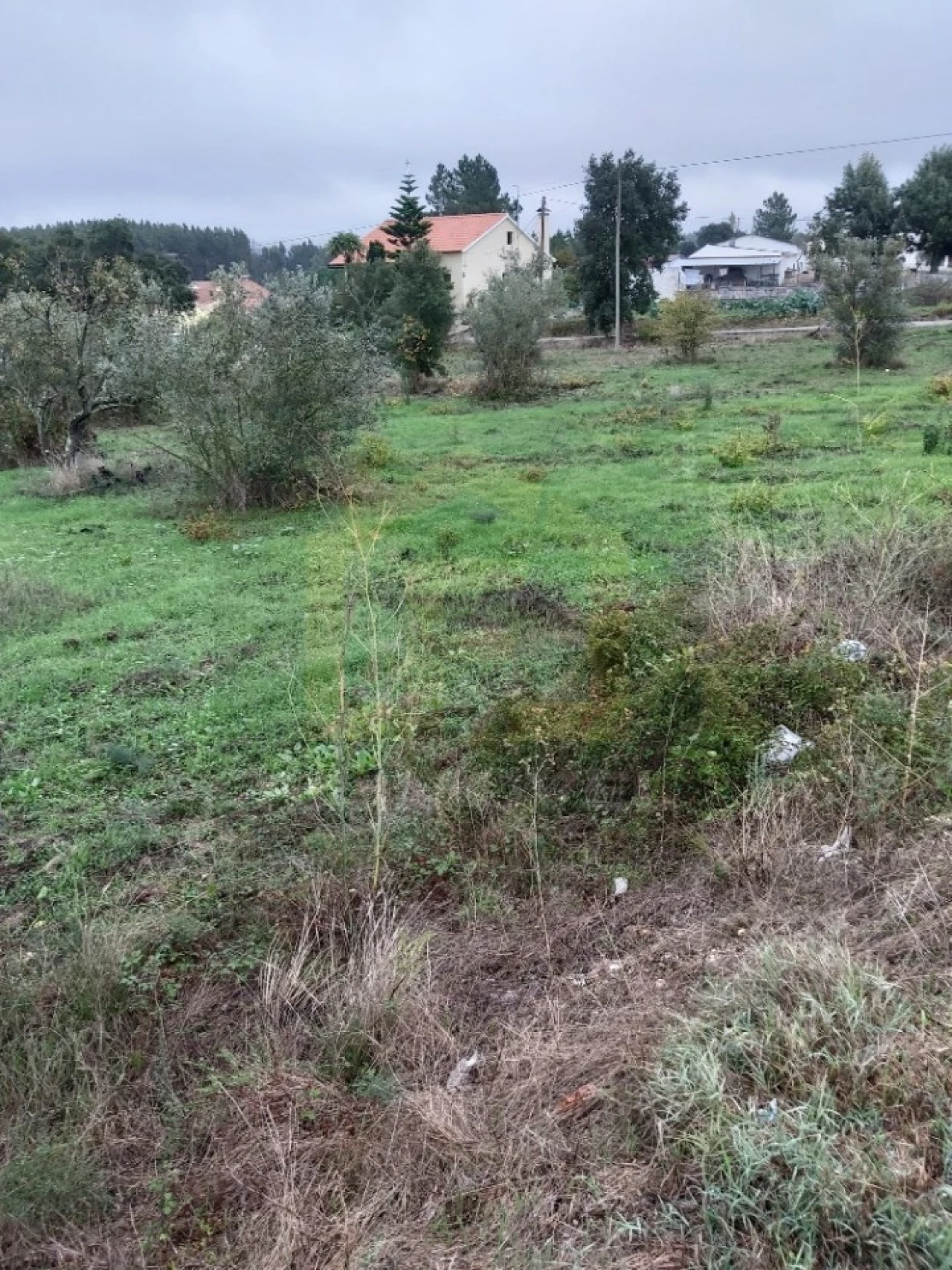 Terreno para Venda em São Pedro de Tomar Foto 1