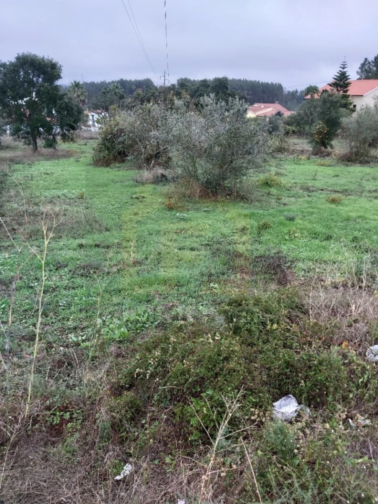 Terreno para Venda em São Pedro de Tomar Foto 2