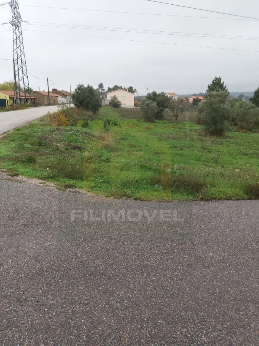 Terreno para Venda em São Pedro de Tomar Foto 3