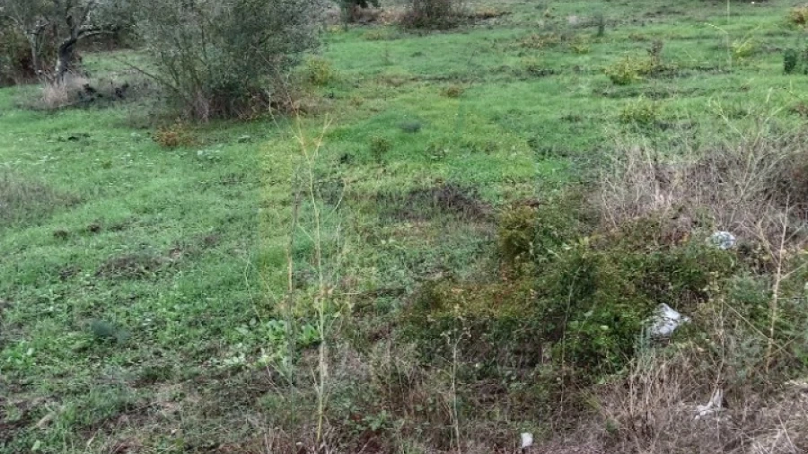 Terreno para Venda em São Pedro de Tomar
