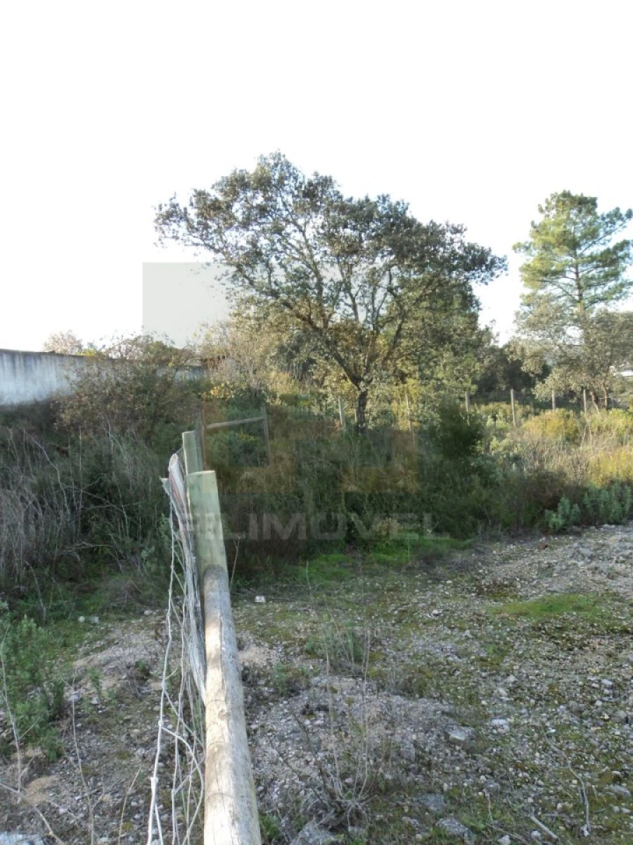 Terreno para Venda em Carregueiros Foto 2