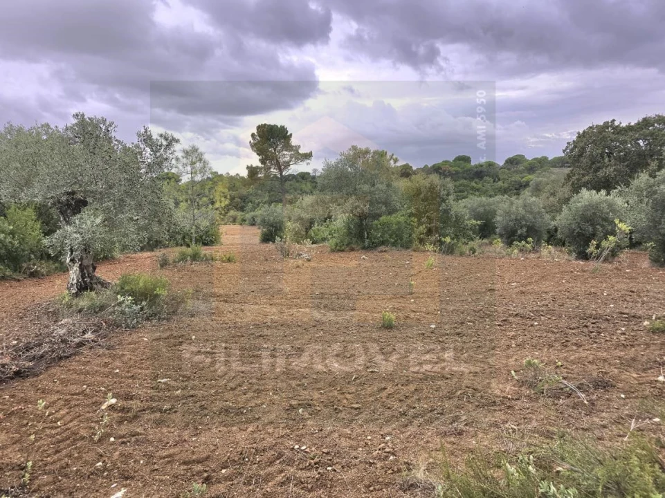 Terreno para Venda em Malhou, Louriceira e Espinheiro Foto 2