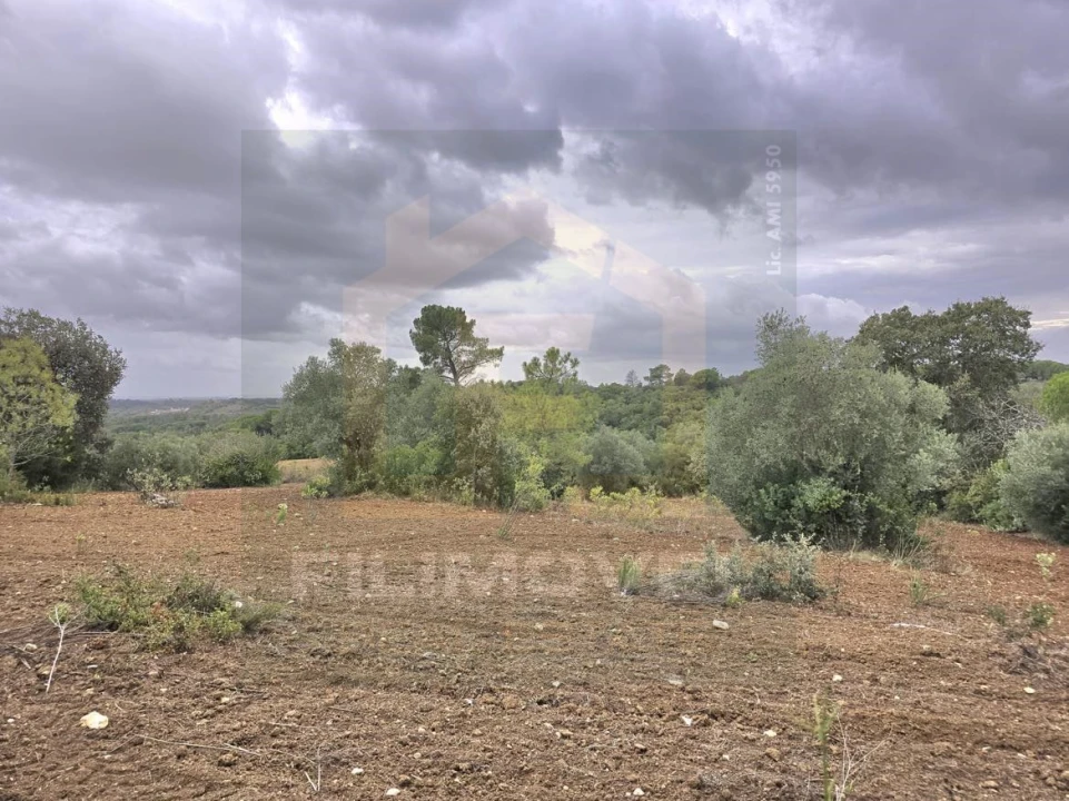 Terreno para Venda em Malhou, Louriceira e Espinheiro Foto 3