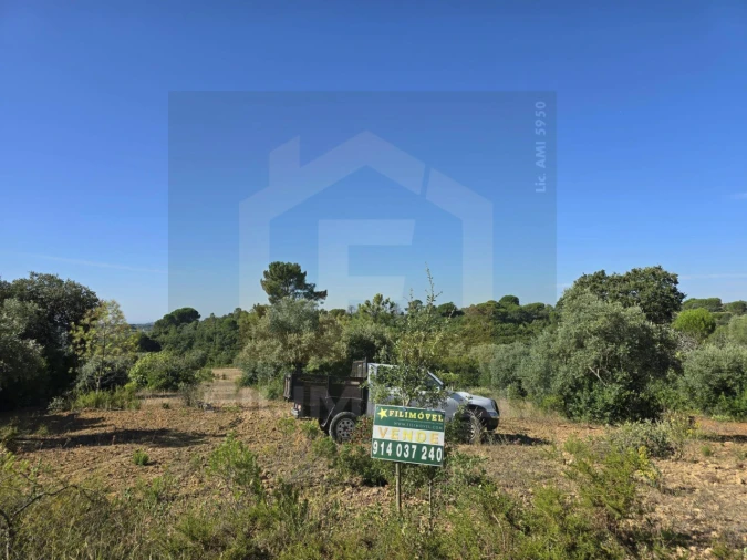 Terreno para Venda em Malhou, Louriceira e Espinheiro Foto 4