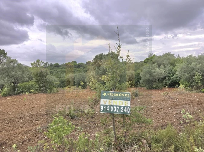 Terreno para Venda em Malhou, Louriceira e Espinheiro