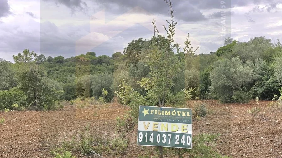 Terreno para Venda em Malhou, Louriceira e Espinheiro