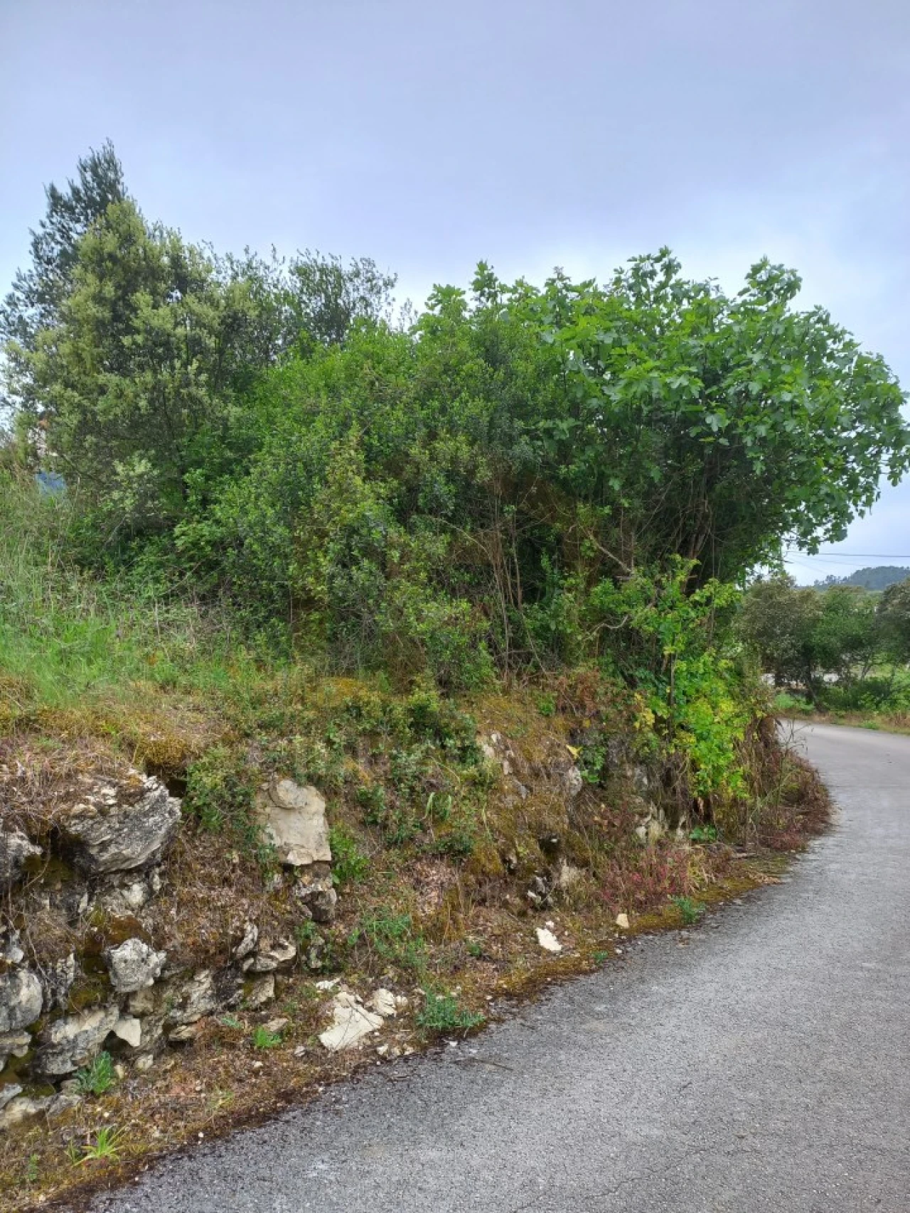 Terreno para Venda em Atouguia Foto 6