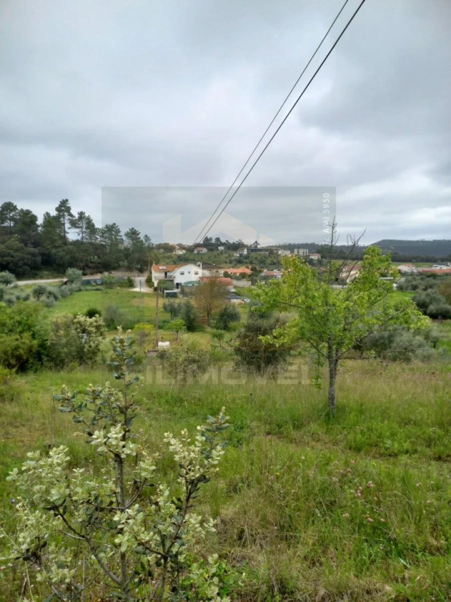Terreno para Venda em Atouguia Foto 2