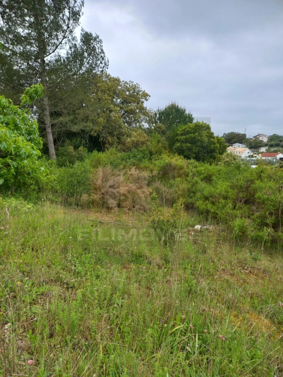 Terreno para Venda em Atouguia Foto 4