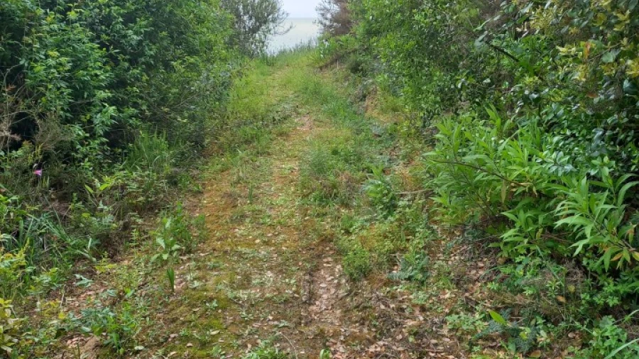 Terreno para Venda em Atouguia