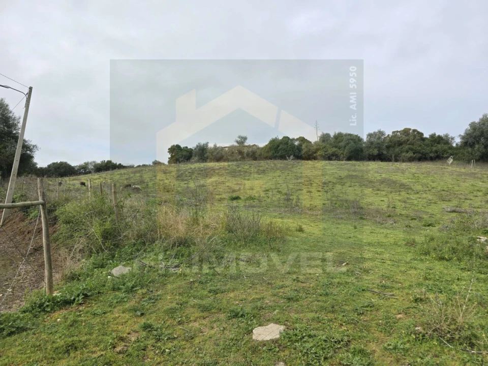Terreno para Venda em Achete, Azoia de Baixo e Póvoa de Santarém Foto 1