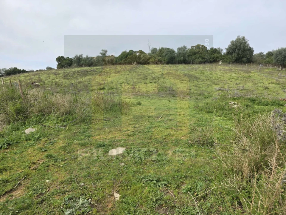 Terreno para Venda em Achete, Azoia de Baixo e Póvoa de Santarém Foto 2