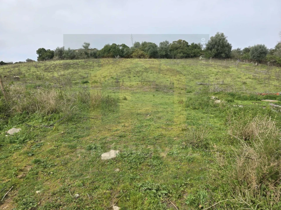 Terreno para Venda em Achete, Azoia de Baixo e Póvoa de Santarém Foto 3